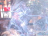 image/_04-finn-smokeakatsu.jpg